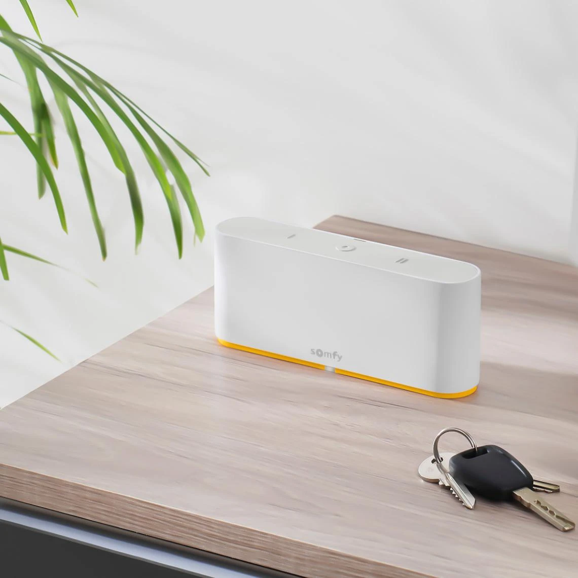 Somfy TaHoma Switch 6 Somfy TaHoma Switch – Image 4